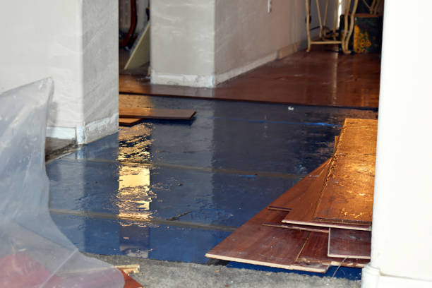 Professional Water Damage technician working in Red Rock, TX