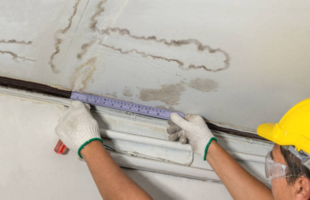 Reliable Water Damage contractor in Red Rock, TX by Water Damage Irwin